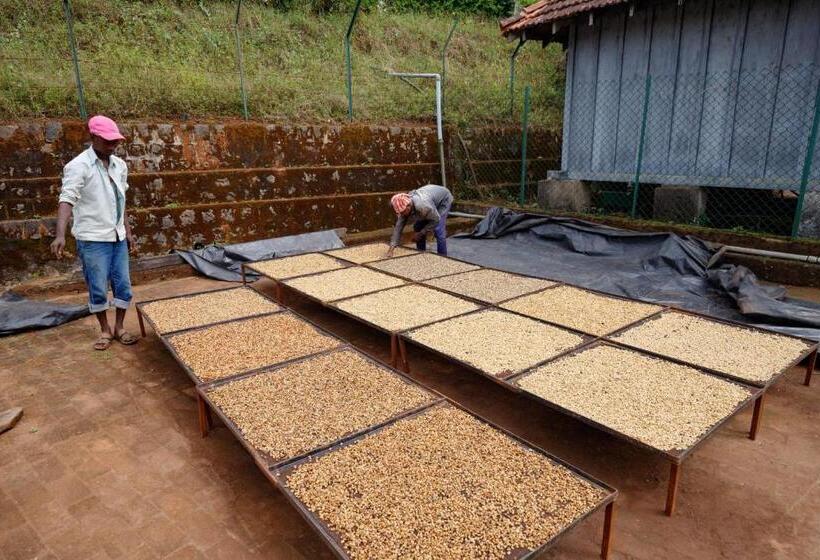 Albergue Espresso Escape By Jadecaps 3bhk Chikamagalur