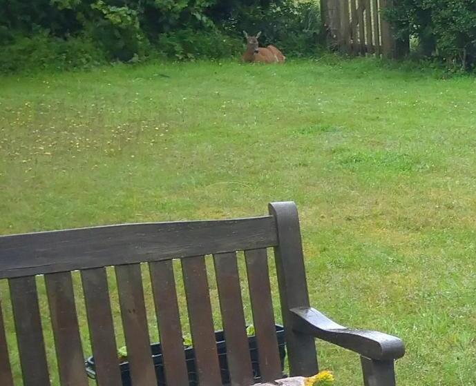 צימר Aquila Retreats