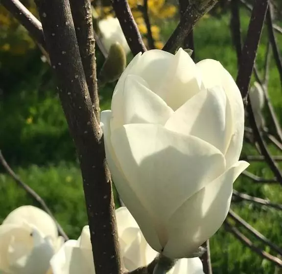 Aamiaismajoitus (B&B) Le Pont De Benneville