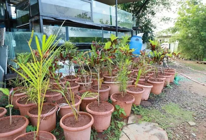 ホテル Sound Rio Retreat Karjat