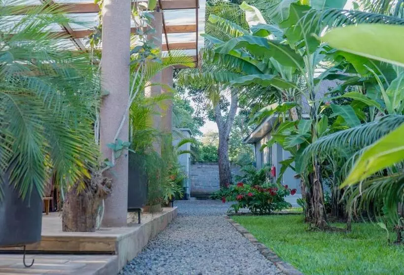 ホテル Tulivu Kilimanjaro Retreat And Campsite
