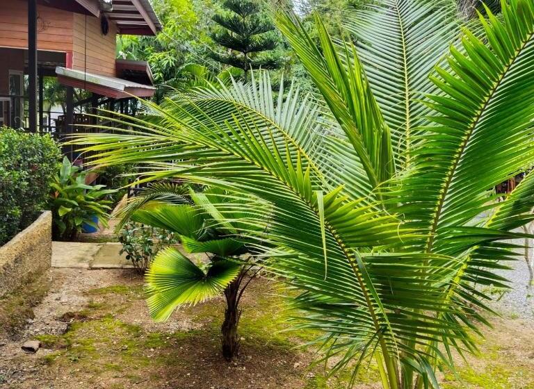 Palm Tian Homes A20