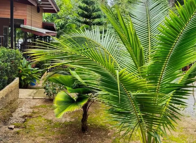 Palm Tian Homes A20