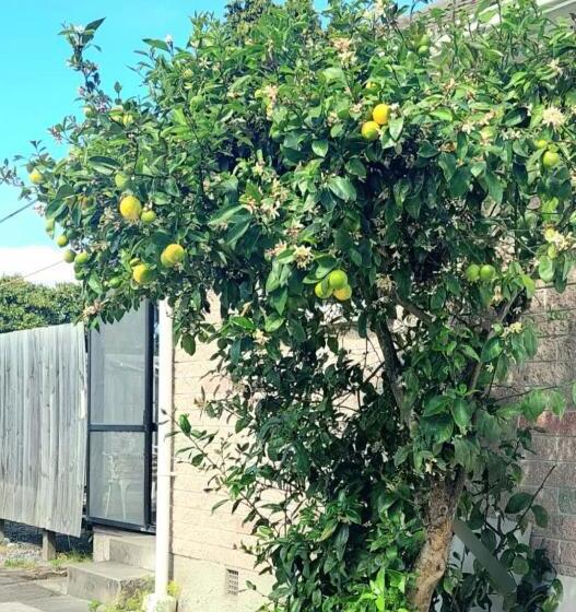 Majatalo 8 Mins Drive To The Airport