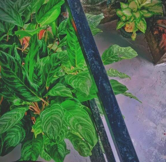 Пансион Sandaru Wave Inn