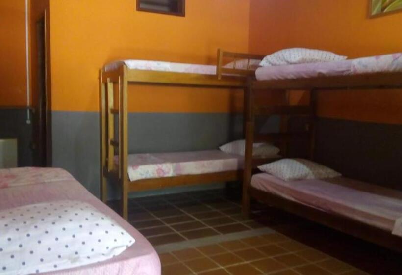 ユースホステル Pousada Fred Tour
