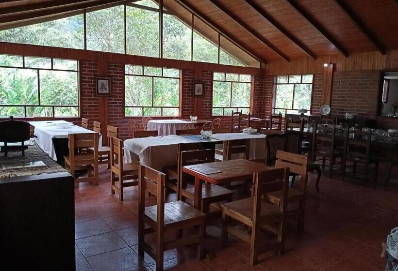 Bed & Breakfast Hacienda San Rene