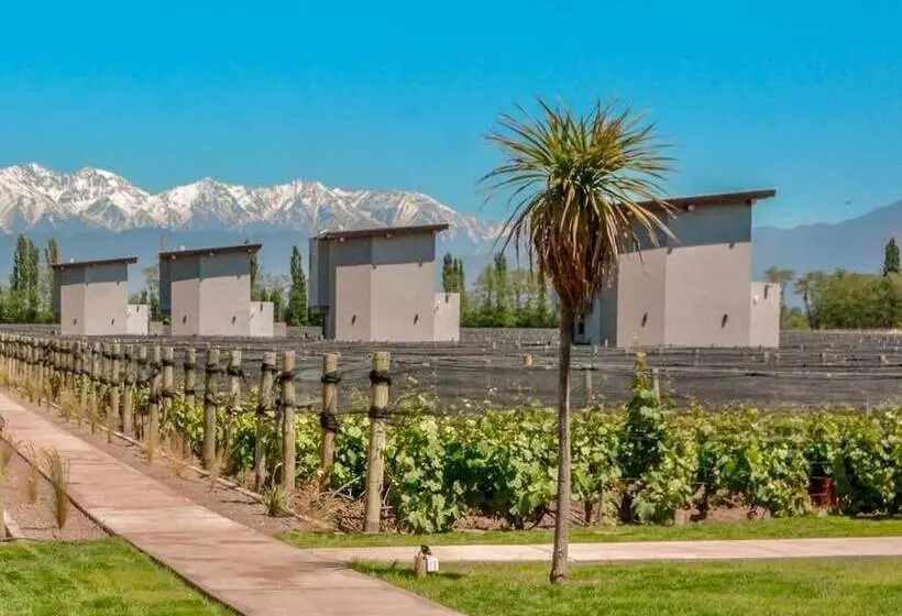 Hotelli Agrelo Vines Lodge