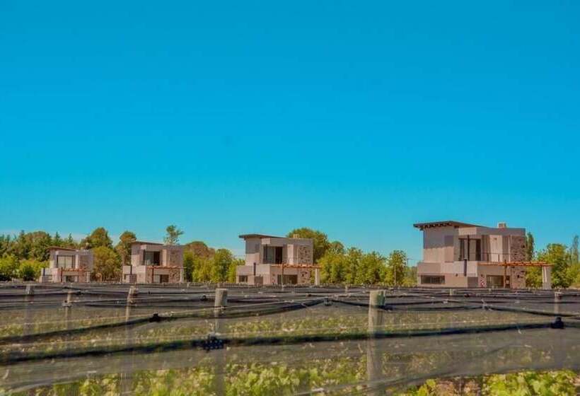 בית מלון כפרי Agrelo Vines Lodge