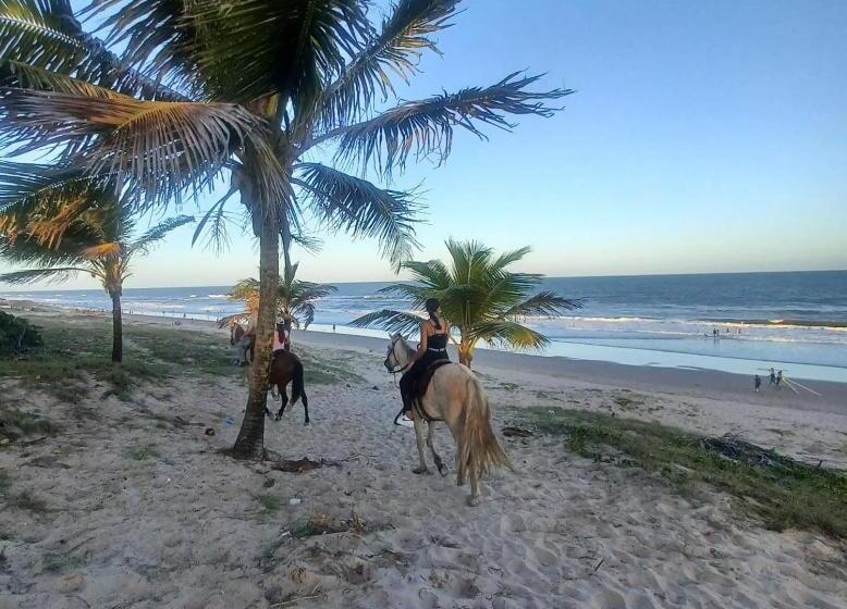 ホテル Pousada Marinheiro