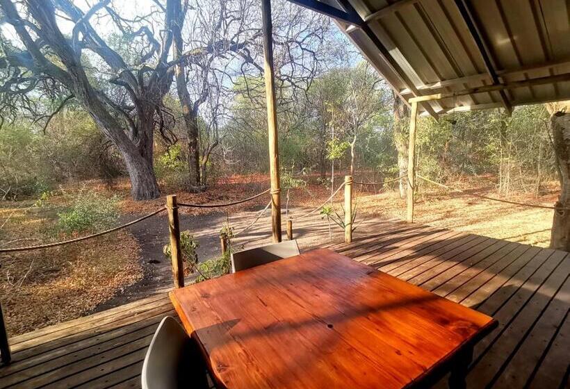 هتل The Tshilli Farm & Lodge