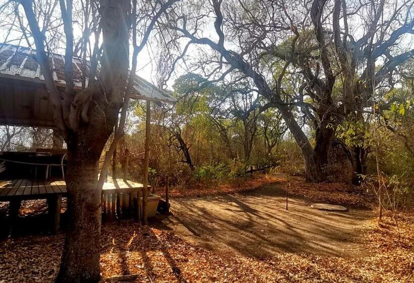 هتل The Tshilli Farm & Lodge