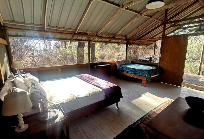 هتل The Tshilli Farm & Lodge