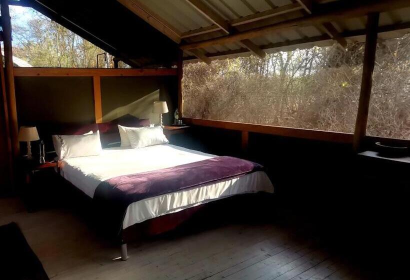 هتل The Tshilli Farm & Lodge