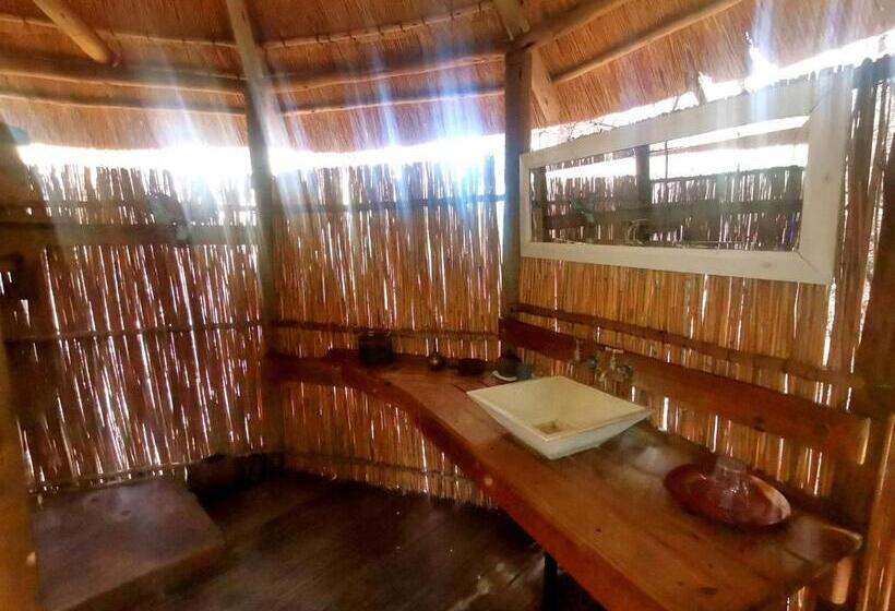 هتل The Tshilli Farm & Lodge