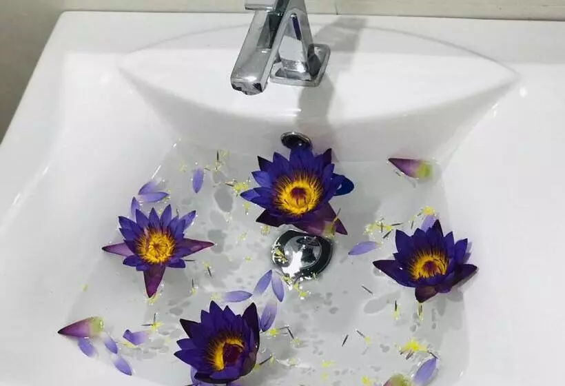 Ibeeza Motel   Bathigama