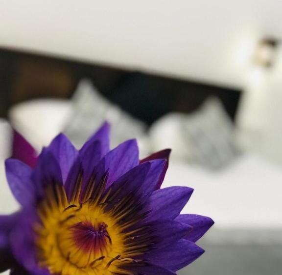 Ibeeza Motel Bathigama