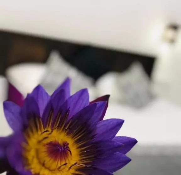 Ibeeza Motel   Bathigama