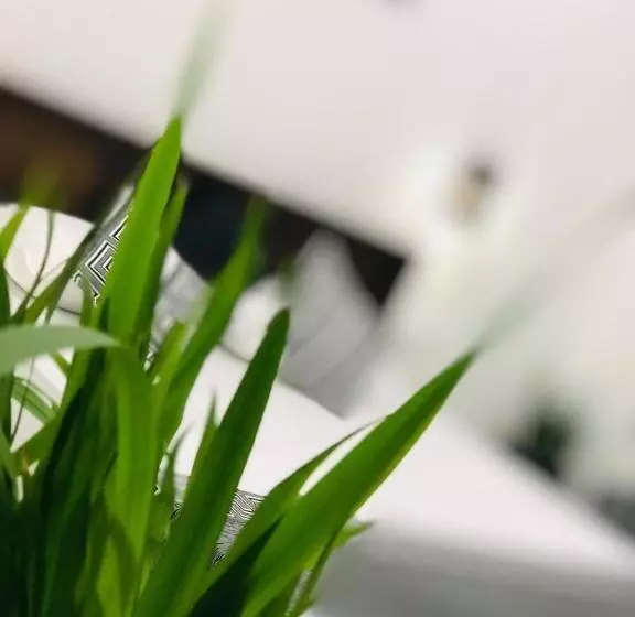 Ibeeza Motel   Bathigama