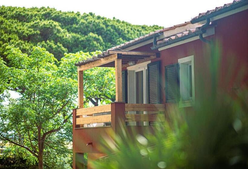 Isa Residence With Private Beach In Albinia, Just 100 Meters From The Sea, Apartments With Air Condi