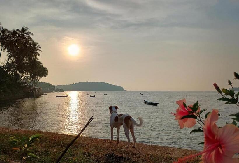 Pensjonat Gs Home On The Bay Sea & Forest View Glass Studio