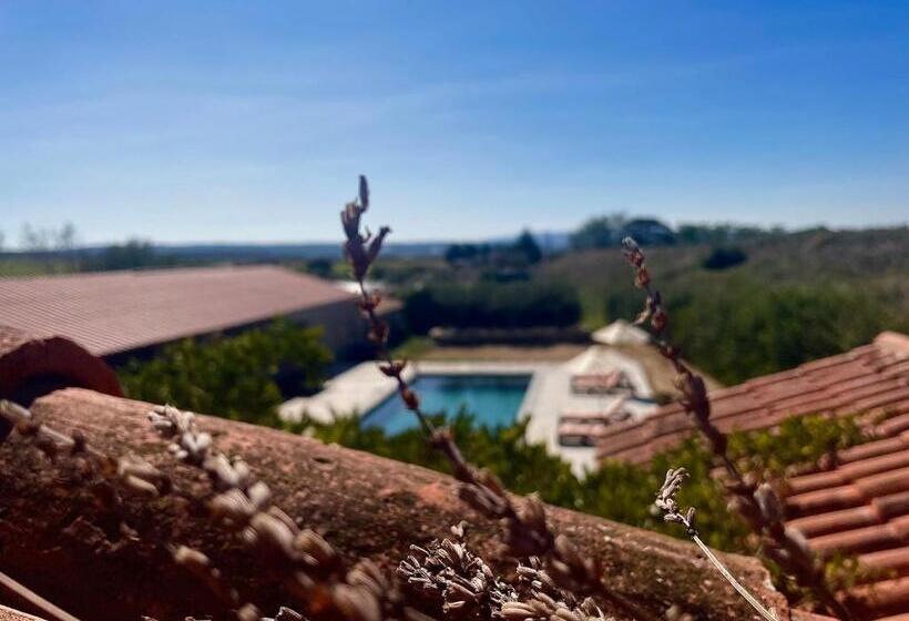 بنسيون Les Mazets Du Pas