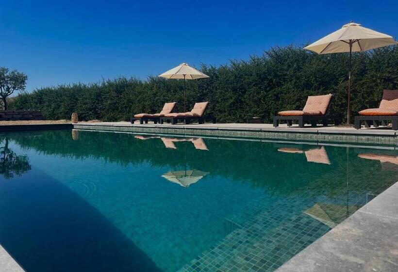 膳宿费 Les Mazets Du Pas