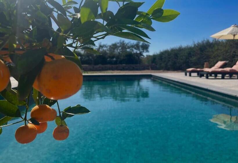 بنسيون Les Mazets Du Pas