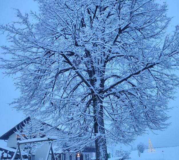 Frühstücks Pension Lichtenauer Hof