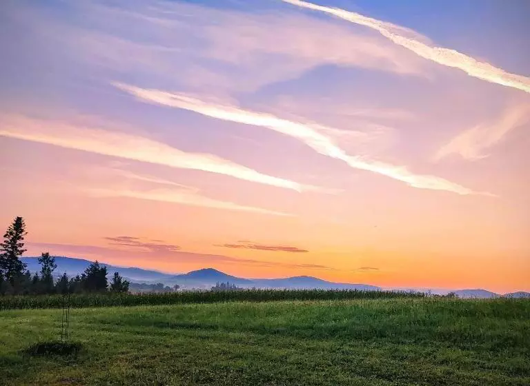 Frühstücks Pension Lichtenauer Hof