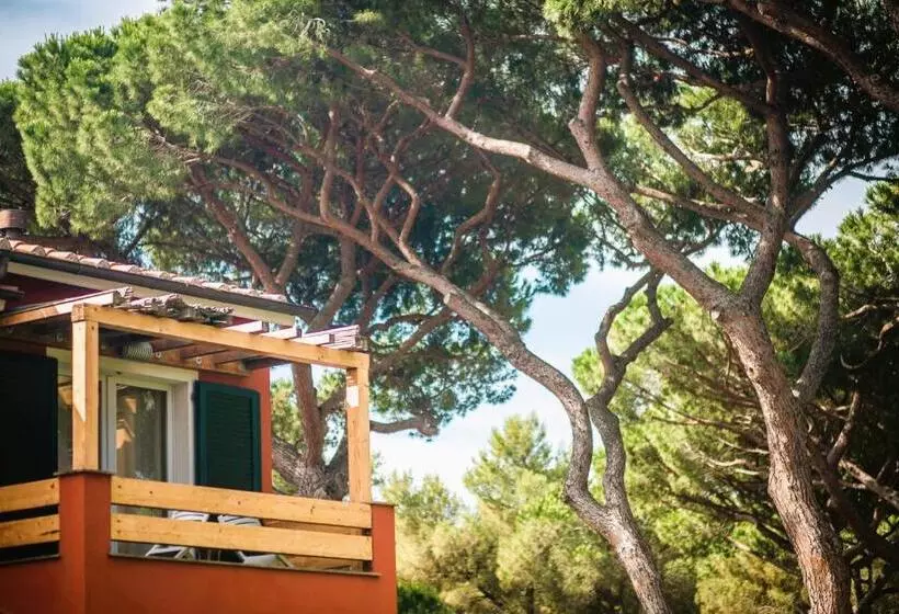 Residence With Private Beach In Albinia, Just 100 Meters From The Sea