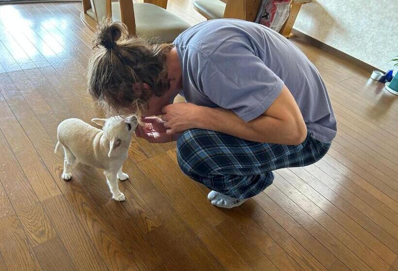 호스텔 Idea House 京都と大阪にアクセス良し 男女共用シェアルーム6人部屋個人ロッカーあり駐車場なし