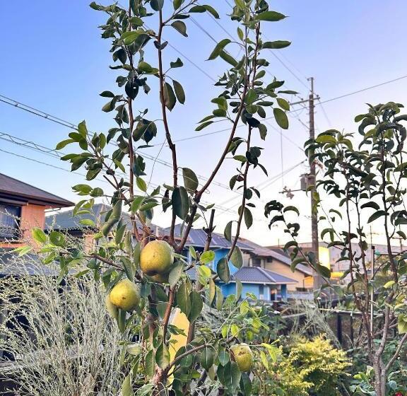 호스텔 Idea House 京都と大阪にアクセス良し 男女共用シェアルーム6人部屋個人ロッカーあり駐車場なし