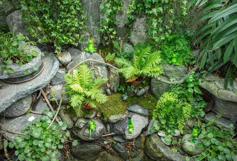 Dali Nurishop Hostel