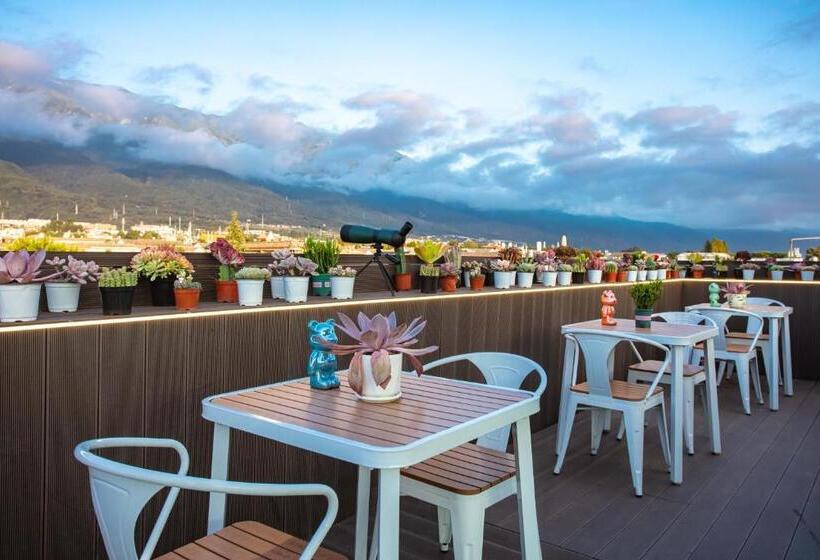 Dali Nurishop Hostel