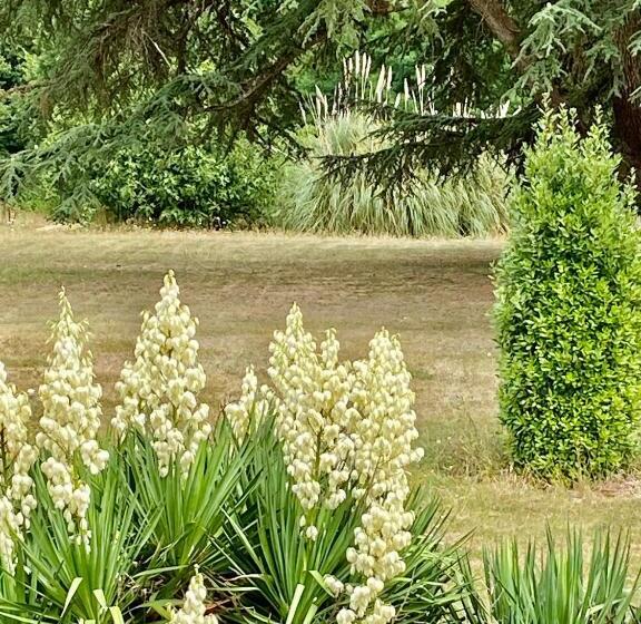 ホテル Château La Bainerie