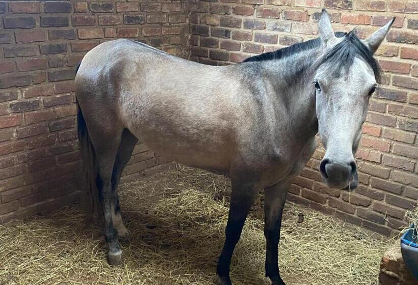 هتل Dinoagro Potrero Grande