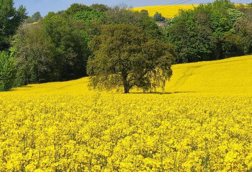 펜션 La Casa Rosa Cheltenham Free Parking Close To Racecourse