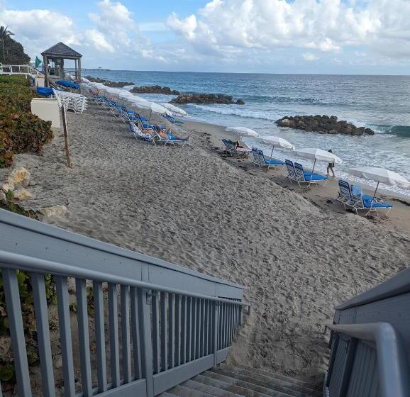 膳宿费 Lhpstation22