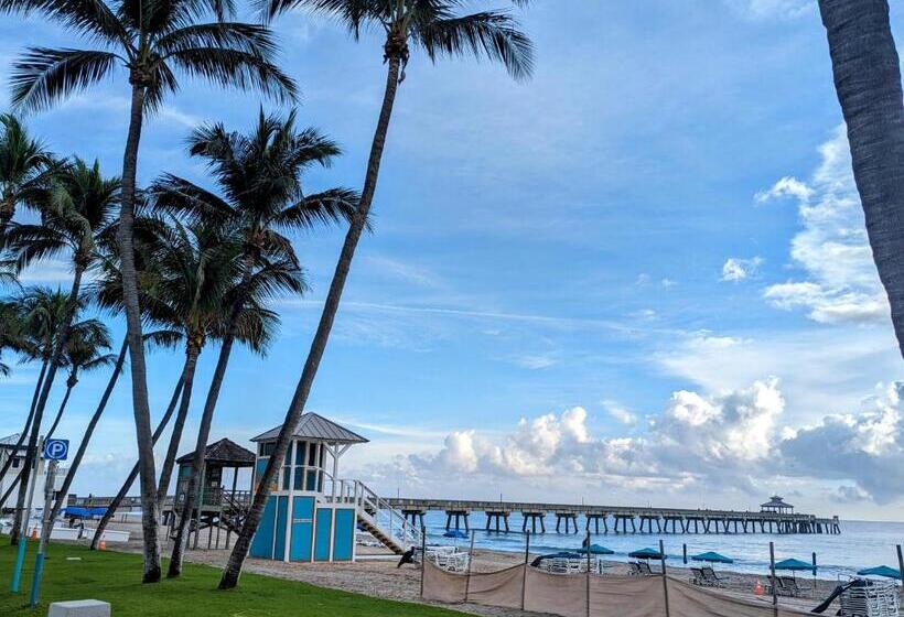 膳宿费 Lhpstation22