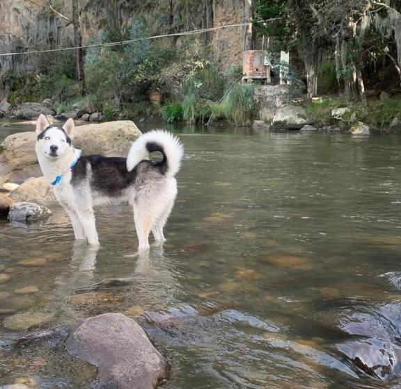 پانسیون Renacer Casa Studio