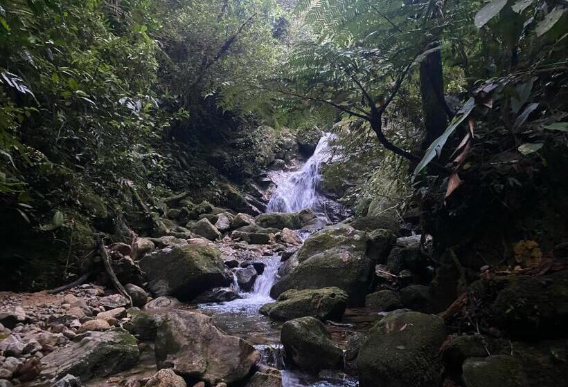 پانسیون Tahamies Hostal   Artesanos Y Turistas