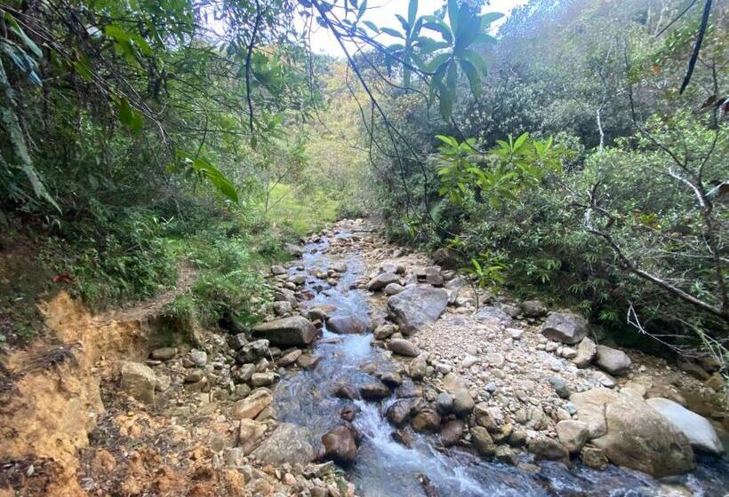 پانسیون Tahamies Hostal   Artesanos Y Turistas