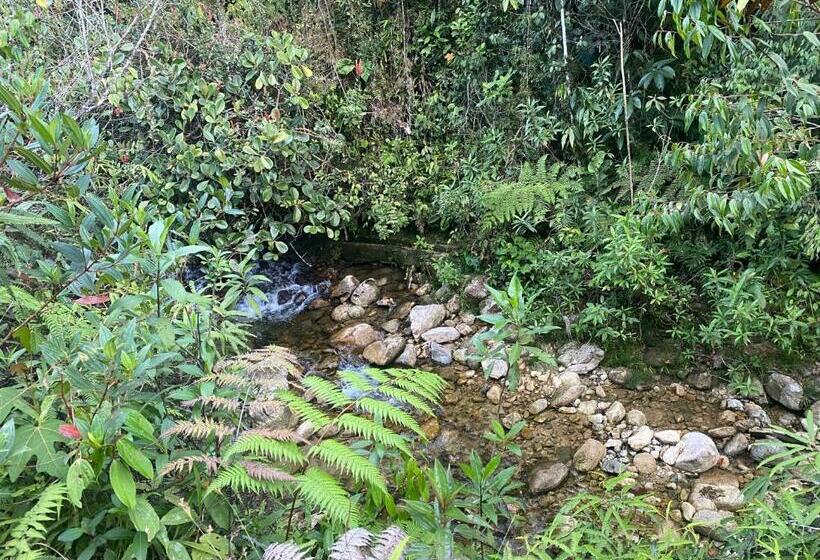 پانسیون Tahamies Hostal   Artesanos Y Turistas