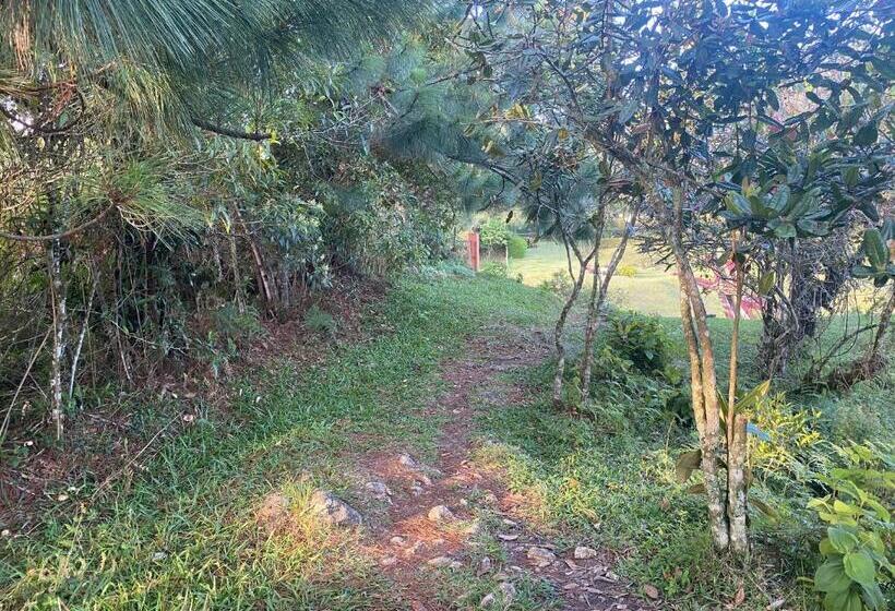 پانسیون Tahamies Hostal   Artesanos Y Turistas