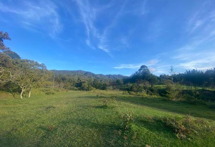 پانسیون Tahamies Hostal   Artesanos Y Turistas