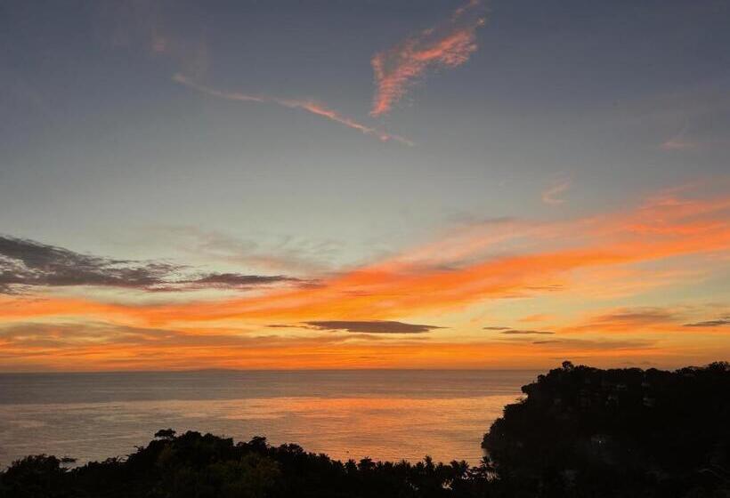 Resort Standard Room With Swimming Pool Access