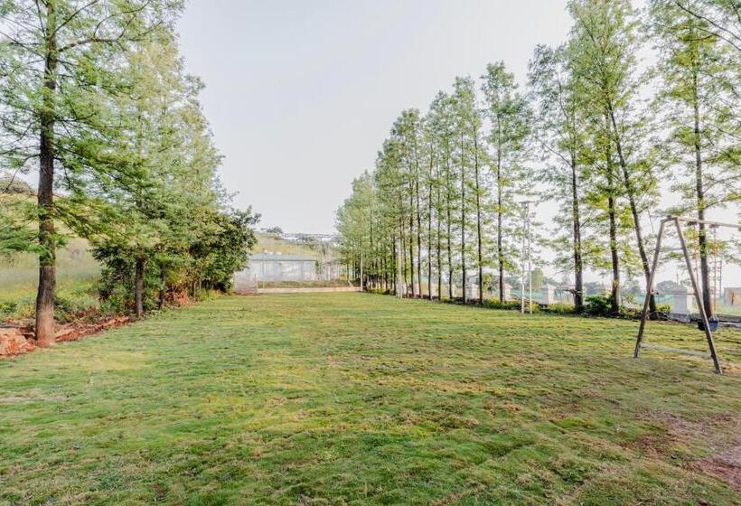 Silver Galaxy Resort