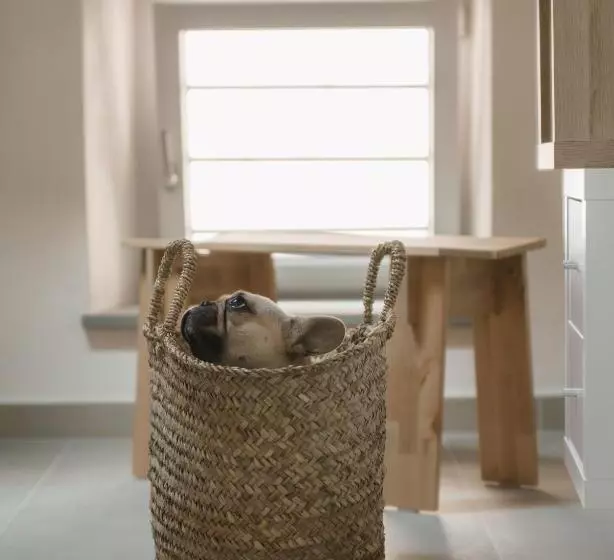 ベッドアンドブレックファースト Abbergà