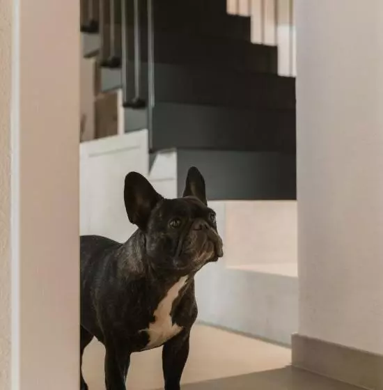 ベッドアンドブレックファースト Abbergà